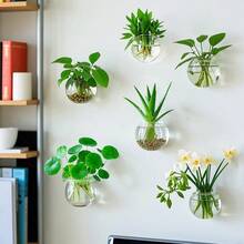 Wall Mounted Hydroponic Vase/ Plants Propagation Station/ Glass Planter Vase, Transparent Wall Planters For Indoor Plants, Oblate Hanging Glass Air Plant Holder (6Pcs) - 6 cái - Xem 2