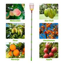 Recogedor de Frutas Harvester - Herramienta de Alto Alcance para Manzanas, Naranjas, Aguacates, Nueces, Limones y Mangos - Estructura Metálica Duradera - 2,4 millones - Ver 7
