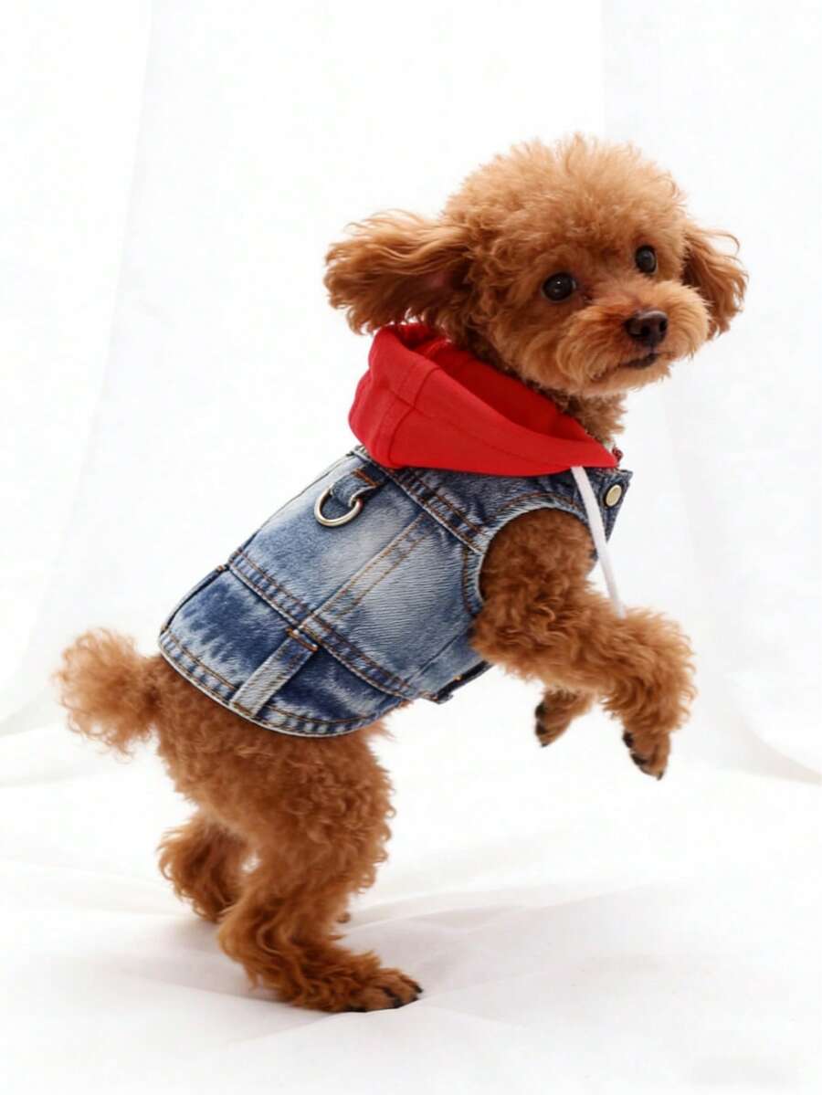 1 件全新连帽背心，适合贵宾犬、比熊犬、泰迪等小型犬，春秋季宠物服装