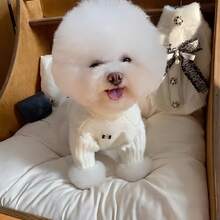 This White Faux Fur Pet Sweater Is Suitable For Autumn And Winter Wear, Featuring A Bow Design And Large Button Decoration, Soft And Comfortable, With A French Style, Suitable For Teddy Bears, Bichon Frises, Pomeranians, Yorkshire Terriers, And Maltese Dogs And Cats To Wear. - Multicolor - View 4
