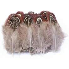 100 Pieces of Natural Peacock Feathers, Wild Bird Feathers, Feather Decorations, Craft Materials, Clothing Accessories, Cat Toys, DIY Craft Feathers for Handmade Projects - pátina - Ver 4