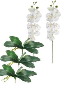 5支仿真蝴蝶兰，花头硕大逼真，花茎纤细，经典风格仿真兰花花束，装饰性丝绸蝴蝶兰，仿真花枝，适用于家居装饰、客厅装饰、酒店婚礼花艺布置、母亲节、春夏装饰、白色婚礼花束装饰、复活节装饰礼物、生日礼物、毕业典礼等场合。 - 彩色 - 查看 9