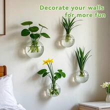 Wall Mounted Hydroponic Vase/ Plants Propagation Station/ Glass Planter Vase, Transparent Wall Planters For Indoor Plants, Oblate Hanging Glass Air Plant Holder (6Pcs) - 6 cái - Xem 6
