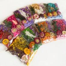 1 Pack Assorted Colorful Dried Flowers, Suitable For DIY Crafts, Variety Of Flower Materials, Daisy Supplies, Creative Birthday Gift, Wedding Party, Valentine''s Day, Greeting Card Making - Multicolor - View 1
