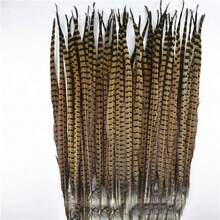 27,6-29,5 pulgadas
