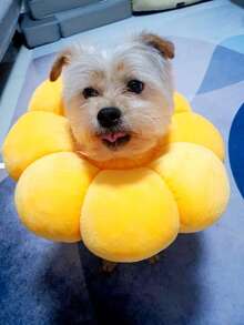 طوق استرداد الحيوانات الأليفة مقاوم للخدش والعض والتلميع، طوق واقي مناسب للكلاب والقطط الصغيرة - متعدد الألوان - مشاهدة 5