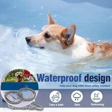 Pet Basic Dog Collars - XS - View 6