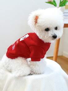 1件宠物服装，小型犬/幼犬适用，可爱新年卫衣 - “财富积累” - 紅色 - 查看 3