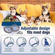 Pet Basic Dog Collars - XS - View 5