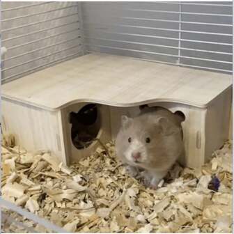 Multi-Room Wooden Hamster Maze And Hideout - Provides Interesting Activity And Cozy Nesting For Your Pet