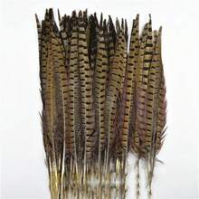 13,8-15,7 pulgadas