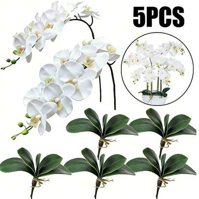 Bó hoa lan Phalaenopsis sống động như thật gồm 5 bông, đầu hoa lớn, thân mảnh, kiểu dáng cổ điển, cành lan bướm bằng lụa, thích hợp trang trí nhà cửa, phòng khách, khách sạn, đám cưới, ngày của Mẹ, trang trí mùa xuân/hè, bó hoa cưới màu trắng, quà tặng trang trí lễ Phục sinh, quà sinh nhật, lễ tốt nghiệp, v.v.