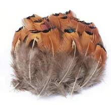 100 Pieces of Natural Peacock Feathers, Wild Bird Feathers, Feather Decorations, Craft Materials, Clothing Accessories, Cat Toys, DIY Craft Feathers for Handmade Projects - shanda dian - Ver 8
