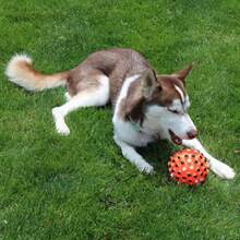 Kids Activity And Game Balls - Multicolor - View 6