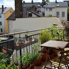 1pc Mini Hanging Plant Shelf Iron Mesh Wall Mounted Rack For Succulents & Small Potted Plants - Black - View 4