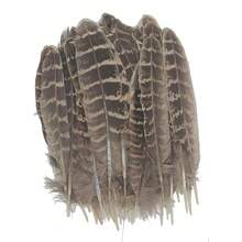 Centerpieces - Hen Nest Feathers - View 8