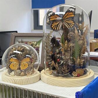 1pc Transparent Glass Dome Display Case With Wooden Base, For DIY Preserved Flowers, Snow Globes, Plant Crafts, Memorabilia