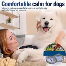 Pet Basic Dog Collars - XS - View 3