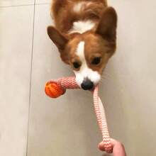 لعبة كرة حبل مضفر للكلاب، لعبة ألغاز طعام للكلاب للمضغ، موزع معالج قابل للحشو، مناسب للتدريب على المضغ والجذب والاسترجاع، هدية عيد الميلاد لكلاب كورجي وبوديل وبوردر كولي والسلالات الصغيرة والكبيرة - متعدد الألوان - مشاهدة 4
