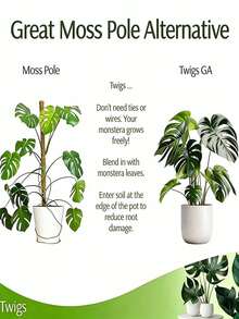 Bộ 5 cọc đỡ cây trồng trong vườn, vòng đỡ cây bằng nhựa có thể xếp chồng lên nhau, 1 cuộn dây buộc tự dính, cọc đỡ cây có thể điều chỉnh, cọc bảo vệ lá, cọc đỡ lan, thích hợp cho cây leo, rêu, hoa trồng trong chậu trong nhà và ngoài trời. - Nhiều màu - Xem 7