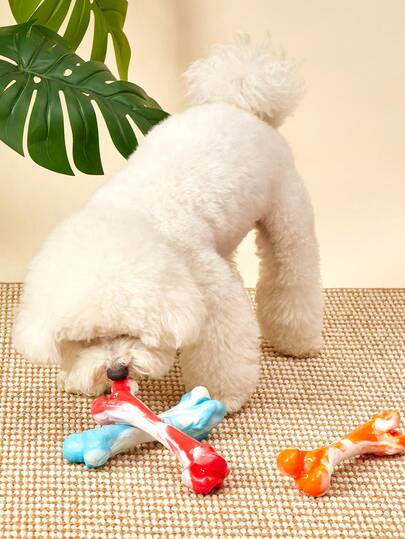 PETSIN 坚不可摧的狗狗咀嚼玩具，适合喜欢啃咬的狗狗——超强韧的TPR和尼龙骨头，适合中大型犬的互动玩具，非常适合无聊和户外玩耍