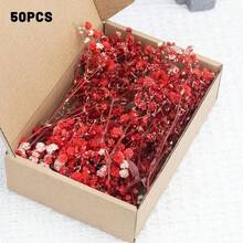 50 Uds. Ramos de flores naturales frescas y secas Gypsophila Paniculata para el aliento del bebé de larga duración para regalo de decoración del hogar de boda LOBI - Rojo - Ver 13