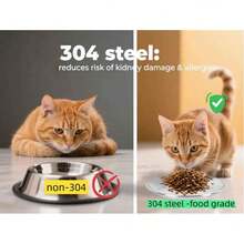 1个宠物猫狗碗，宠物喂食器，浅口设计，适合猫咪胡须，适用于猫咪和幼犬的食物和水碗 - 均碼 - 查看 7