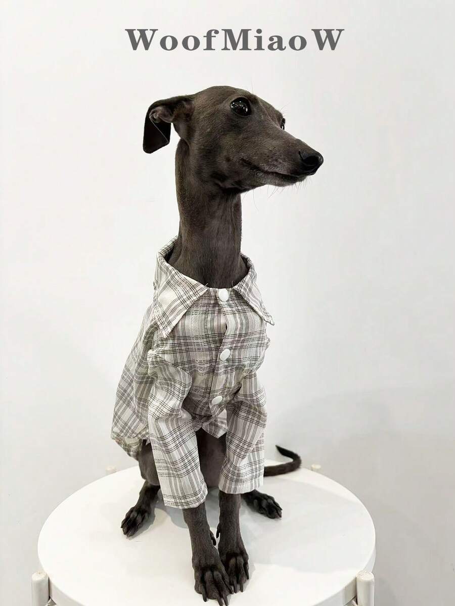 Haine pentru ogari italieni Whippet, cămașă ușoară în carouri și dungi de primăvară/vară, haine moi și confortabile pentru animale de companie - Kaki - Vizualizare 1