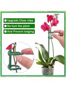 Bộ 5/10/20 que đỡ cây, que đỡ cây màu xanh lá cây, thích hợp cho cây trồng trong nhà và ngoài trời, dùng cho cà chua trồng trong chậu, mẫu đơn, ly, hoa hồng và các loại hoa và rau khác. Thích hợp cho vườn ngoài trời, cây trồng trong chậu, bình hoa, trang trí ngày lễ. (Lưu ý: Kiểu dáng ngẫu nhiên và không ảnh hưởng đến hiệu quả sử dụng) - màu xanh lá - Xem 10