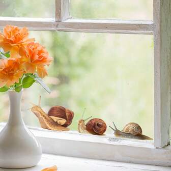 1pc Lavender Snail Window Sticker, Self-Adhesive Waterproof Glass Decal For Bedroom, Balcony