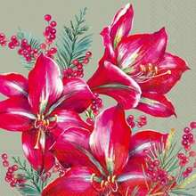IHR Home Range - Servilletas desechables de papel de 3 capas, 8.5 x 4.5 pulgadas, corona de arándano, 16 unidades(Amaryllis clásico (salvia) 5" x 5") - Multicolor - Ver 2
