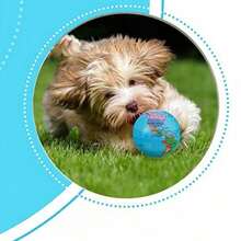 1 Pack Of 1/3/5/10 Pcs Blue Planet Squeeze Balls - Soft Sponge Stress Relief Small Gifts, Suitable For Earth Day Party Favors, Carnival Prizes And Gifts, Small Gifts To Relieve Work And Study Pressure - Multicolor - View 7