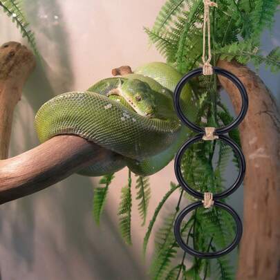 1 st ormberikningsringkedja, orminhägnad akvariumbur klättertillbehör harts lekplatsberikande klätterleksaker för kungspyton majsormar råttormar