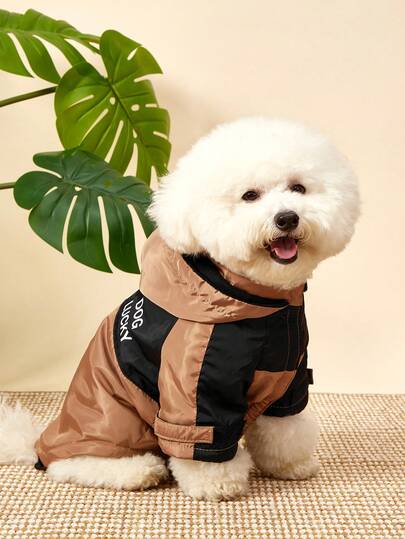 PETSIN 1pc Pet Dog Casual Fashionable Windbreaker Jacket, Colorblock Patchwork Minimalist Design Hooded Long Sleeve Coat For Teddy, Poodle, Small Dogs, Spring/Autumn/Winter