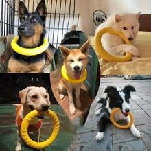 1个防啃咬狗狗接球圈 - 高强度合成橡胶玩具，亮黄色/蓝色，接球圈适合所有犬种 - 非常适合捡球、拔河、训练和游泳 - 室内/室外狗狗球 - 彩色 - 查看 4