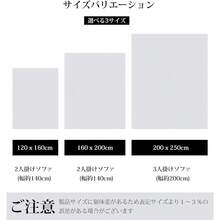 ラグマット カーペット ラグ 洗える シャギーラグ HOSUR 120x160cm 滑り止め付き 長方形 北欧 絨毯 低反発 ふわふわ 厚手 洗えるラグ オールシーズン ライトグレー - 写真の通り - チェックする 3