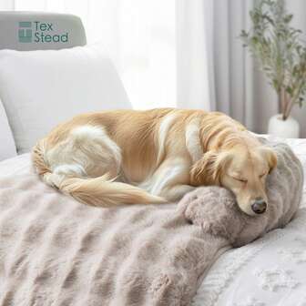 加厚长绒宠物沙发垫，蓬松柔软，恒温舒适（不闷热），贴合宠物身形保护关节，防掉毛，易于清洁，弹性包边（不易变形），适用于各种尺寸的沙发，是秋冬季宠物主人的必备之选。