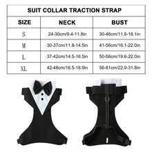 Pet Dog Suit, Tie, Tie Set, Suitable For Small And Medium Dogs, Formal Occasions