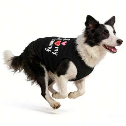 Pet Dog/Cat Letter Print Vest, Lightweight Breathable Sleeveless Shirt, Suitable For Poodle, Teddy Bear, Pug And Other Dog Breeds