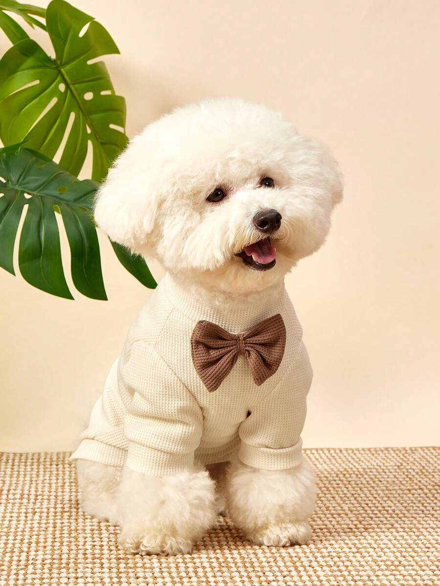 PETSIN 1 件华夫格针织绅士领结领宠物 T 恤，适合贵宾犬、马耳他犬、小型犬和猫