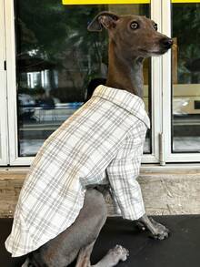 Haine pentru ogari italieni Whippet, cămașă ușoară în carouri și dungi de primăvară/vară, haine moi și confortabile pentru animale de companie - Kaki - Vizualizare 5