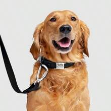 Quiet Sliding Pet ID Tag, Customizable Engraved, Metal Material, Suitable For Various Pet Collars. Fashionable And Elegant Appearance, Paired With Deeply Engraved Pet Name To Showcase Unique Taste. - Multicolor - View 6