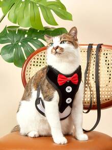 PETSIN 1 件装宠物胸背带和背带，适用于中小型犬、泰迪狗链、狗牵引绳、狗用品 - 黑色 - 查看 8