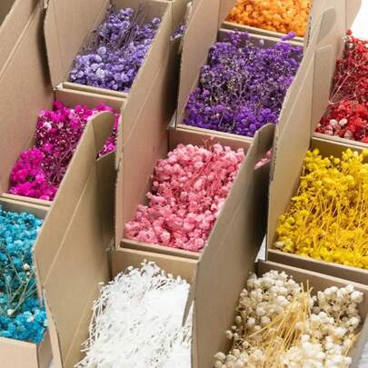 50 Uds. Ramos de flores naturales frescas y secas Gypsophila Paniculata para el aliento del bebé de larga duración para regalo de decoración del hogar de boda UET9