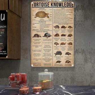 1 st, Aluminium metallskylt Retro metallskyltar Rolig sköldpadda Kunskapskällarskylt, Väggdekor, Rumsdekor, Heminredning, Bardekor, Cafédekor, Garagedekor