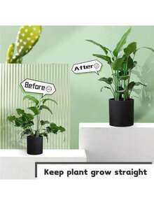 Bộ 5/10/20 que đỡ cây, que đỡ cây màu xanh lá cây, thích hợp cho cây trồng trong nhà và ngoài trời, dùng cho cà chua trồng trong chậu, mẫu đơn, ly, hoa hồng và các loại hoa và rau khác. Thích hợp cho vườn ngoài trời, cây trồng trong chậu, bình hoa, trang trí ngày lễ. (Lưu ý: Kiểu dáng ngẫu nhiên và không ảnh hưởng đến hiệu quả sử dụng) - màu xanh lá - Xem 5