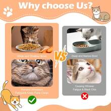 1个宠物猫狗碗，宠物喂食器，浅口设计，适合猫咪胡须，适用于猫咪和幼犬的食物和水碗 - 均碼 - 查看 8
