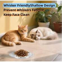 1个宠物猫狗碗，宠物喂食器，浅口设计，适合猫咪胡须，适用于猫咪和幼犬的食物和水碗 - 均碼 - 查看 5