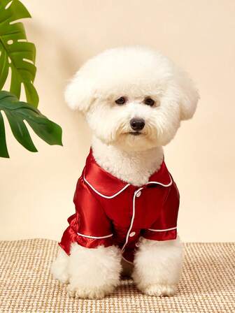 PETSIN ชุดนอนสัตว์เลี้ยง ไม่ยืดหยุ่น น้ำหนักเบา ระบายอากาศได้ดี สวมใส่สบาย เหมาะสำหรับสุนัขพันธุ์เล็ก เช่น ตุ๊กตาหมี ใส่ได้ตลอดทั้งปี (สินค้ามีขนาดเล็กกว่าปกติเล็กน้อย แนะนำให้ซื้อขนาดใหญ่กว่า 1-2 ไซส์ โปรดเลือกอย่างระมัดระวังสำหรับสุนัขพันธุ์อื่นๆ)