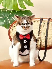 PETSIN 1 件装宠物胸背带和背带，适用于中小型犬、泰迪狗链、狗牵引绳、狗用品 - 黑色 - 查看 9